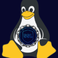 Linux Tux Penguin with SSL Logo